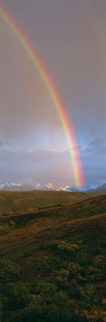 Rainbow over Sable Pass vertical